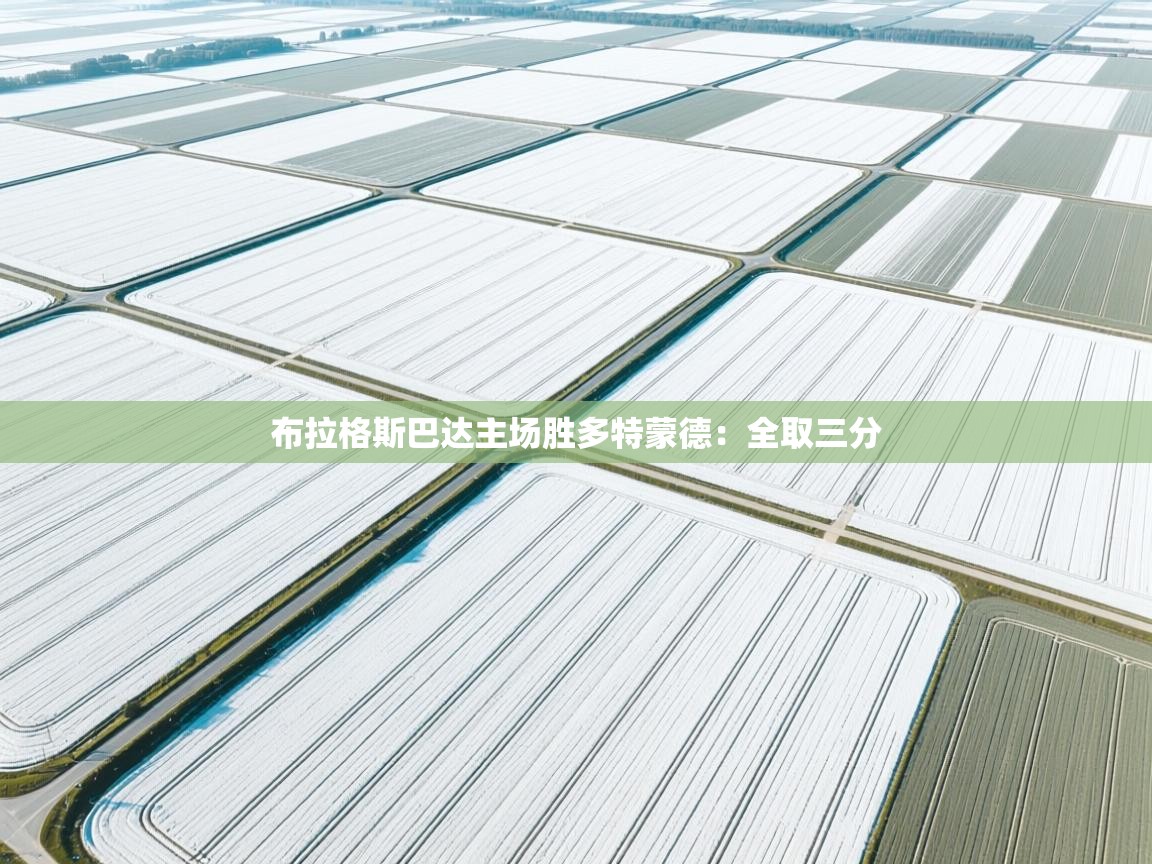 开云体育app下载链接-布拉格斯巴达主场胜多特蒙德:全取三分 第4张