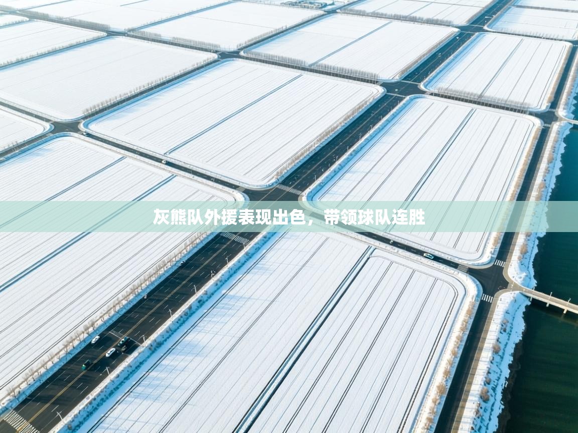 开云体育修改登录密码-灰熊队外援表现出色,带领球队连胜 第2张