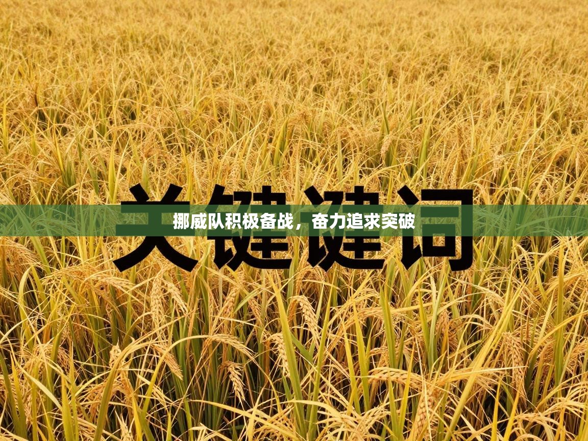 开云体育在线下载-挪威队积极备战,奋力追求突破 第3张