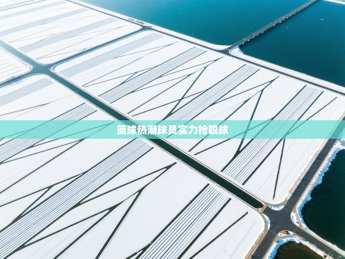 开云体育在线登入-篮球热潮球员实力抢眼球  第2张